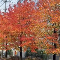 「冬の寒さを感じる今日この頃」・・ウイングローバルテニスアカデミー南栗橋