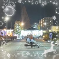 🎄１２月ですね🎄　　ウィングローバルテニスアカデミー南栗橋